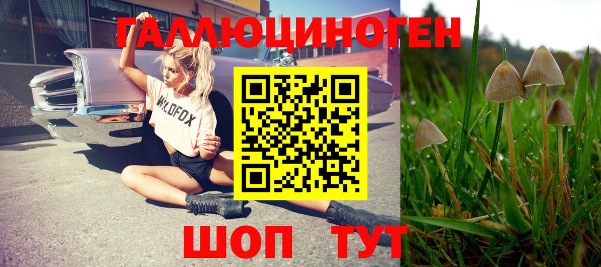 Псилоцибиновые грибы GOLDEN TEACHER  Вход с VPN  Псилоцибиновые грибы Cubensis  Верхняя Салда 